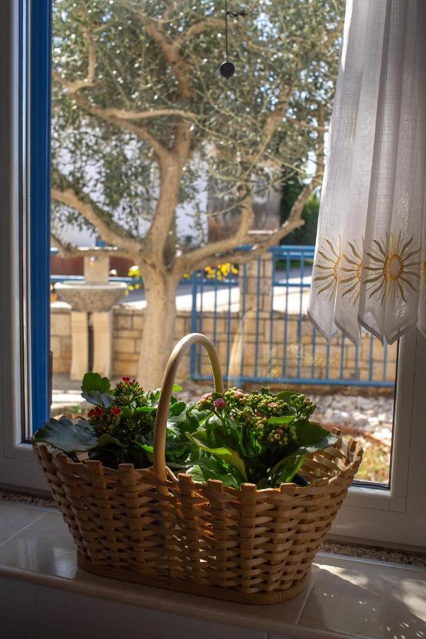 Olive Tree Apartments 우마그 외부 사진